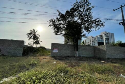 66FCC7FE-6D51-413F-83F5-DAB58ED98903