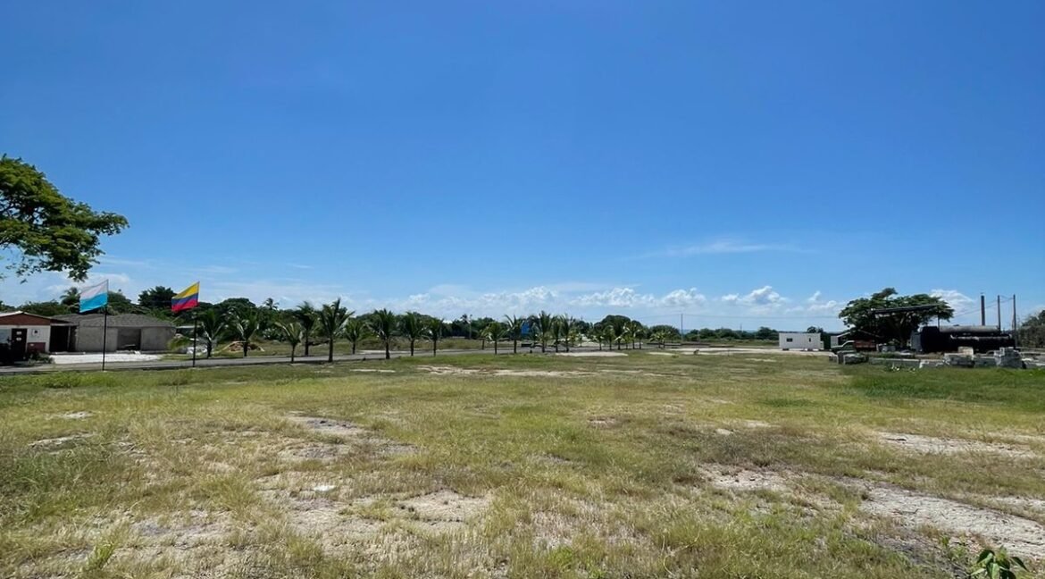 Imagen de WhatsApp 2024-10-02 a las 13.50.44_7d56cdfa